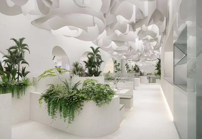 椰子鸡餐饮效果图